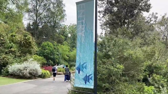MELBOURNE ZOO || Place to visit in Melbourne, Australia || Things you can do in Melbourne, Australi смотреть онлайн