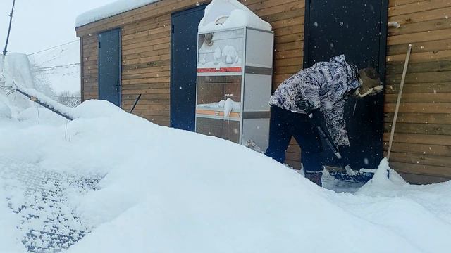 Мы обязательно выживем смотреть онлайн