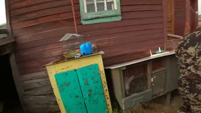 КОПАЕМ ЯМУ ДЛЯ ТУАЛЕТА / ПОКРЫЛИ КРОЛИКОВ ОЖИДАЕМ МАЛЕНЬКИХ КРОЛЬЧАТ смотреть онлайн