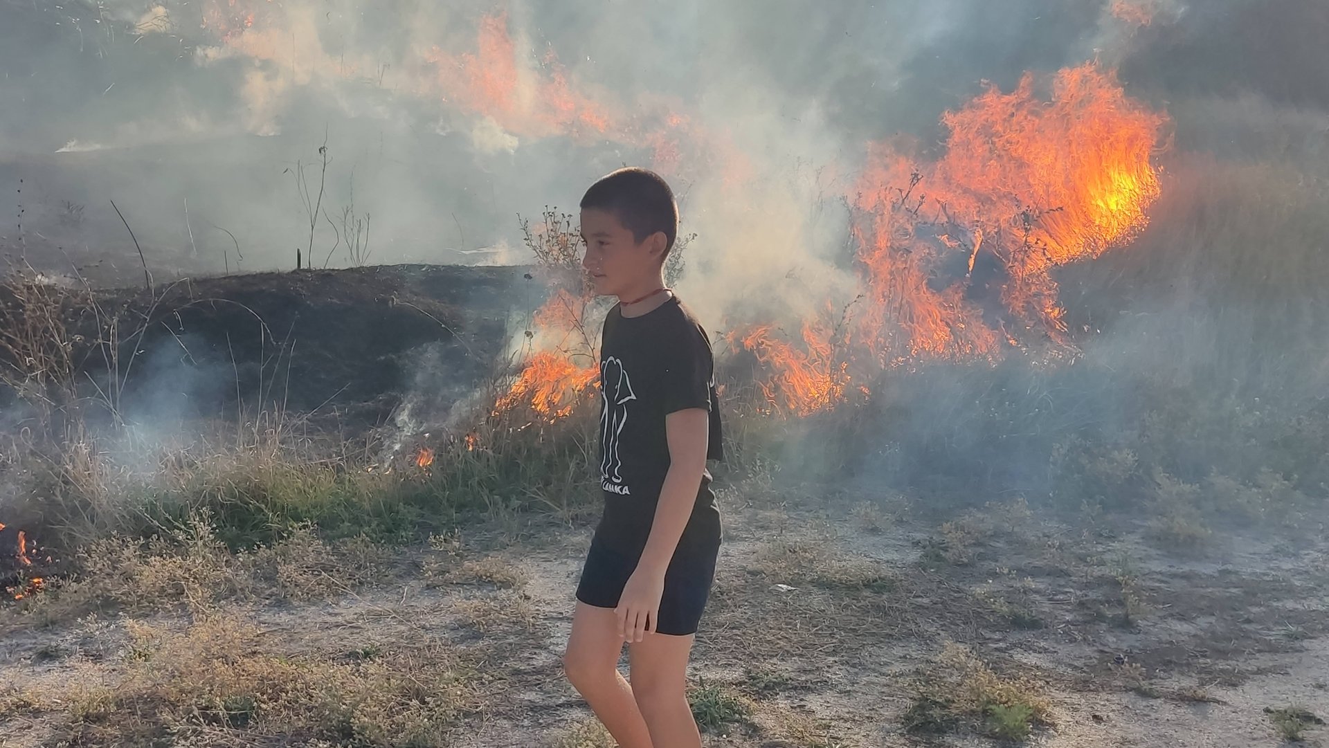 Степной сильный Пожар в Ейске у лимана. Ейск 2024 новости. ЧП Ейск. Новости Ейска. Тутси диеты смотреть онлайн