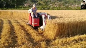 ЯПОНСКАЯ ТЕХНИКА YANMAR В РАБОТЕ , ПОДБОРКА ВИДЕО/ YANMAR TRACTOR IN WORK, VIDEO SELECTION