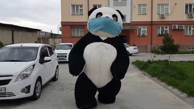 даже животные одевает маска а вы что не одевать маску смотреть онлайн