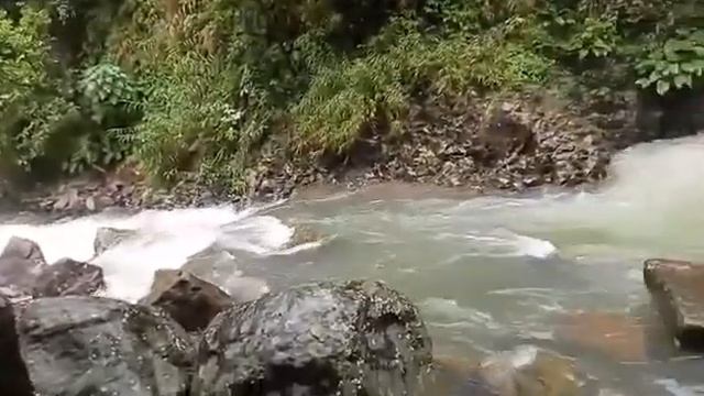 Falls Number 3 смотреть онлайн