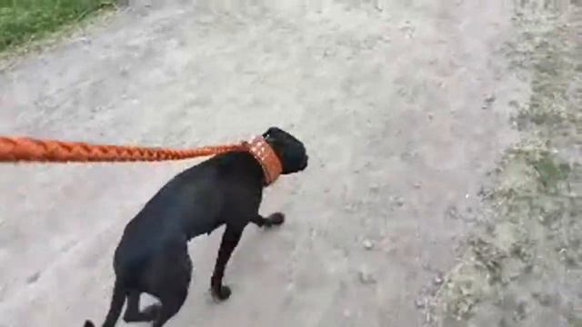 Стрим С Улицы. Гуляем По городу. смотреть онлайн