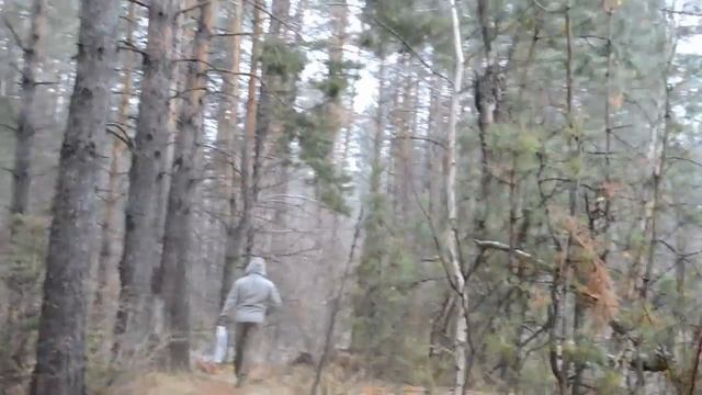 Первый снег. Видео от ТаГоры смотреть онлайн