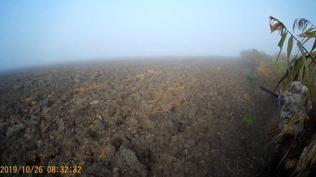 Охота в рисовых чеках,Краснодарский край . Как оно есть . смотреть онлайн