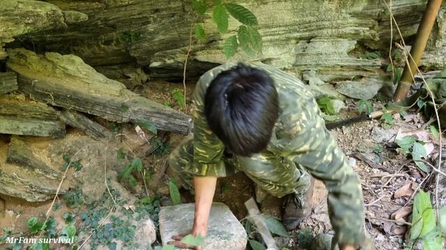 Survive alone, search for food in the jungle chased by hungry tigers, quickly seek shelter смотреть онлайн