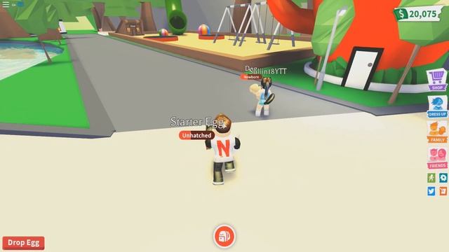 ???NUEVA TIENDA DE MASCOTAS ! Beta cerrada - ADOPT ME ROBLOX PET SHOP NEW смотреть онлайн