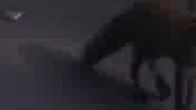 Лис - любитель колбасы смотреть онлайн