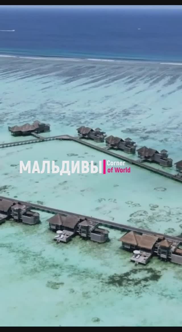 Shorts || МАЛЬДИВЫ - МАЛЬДИВЫ - САМЫЙ КРАСИВЫЙ КРОШЕЧНЫЙ ОСТРОВ #ASMR #Shorts смотреть онлайн