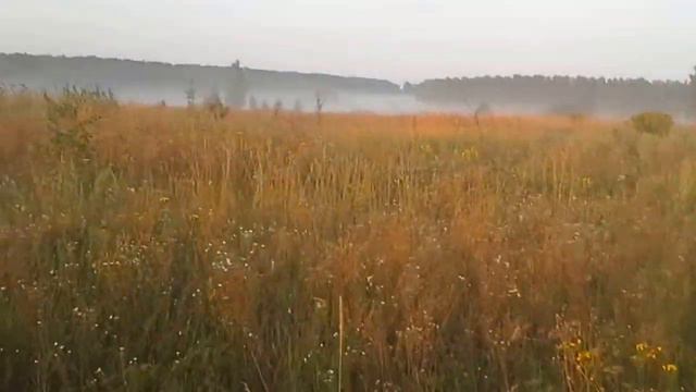 По куропатке. смотреть онлайн