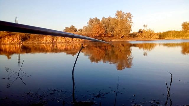 Пескарь вместо карася смотреть онлайн