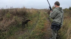 Охота на куропаток октябрь. Охота на куропатку осень. Охота на куропатку