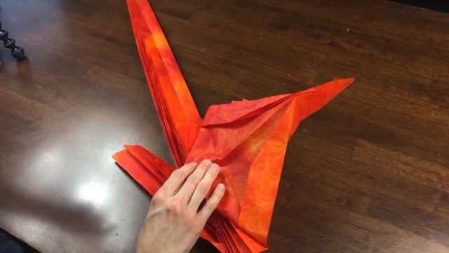 Origami Phoenix 3.5 Live Collapsing!  [Satoshi Kamiya]
