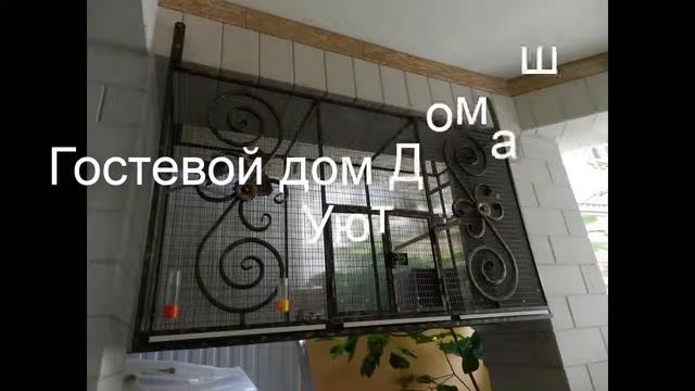 Гостевой дом Домашний Уют - отличный отдых в Геленджике 2019.
