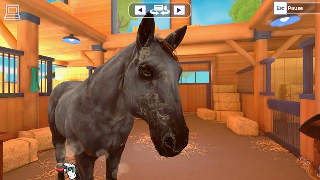 Equestrian Training - Grooming (Horse Game) смотреть онлайн