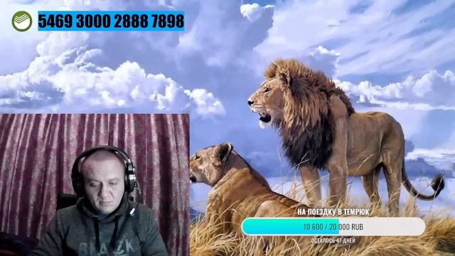 Что из себя представляют хейтеры Тайгана смотреть онлайн