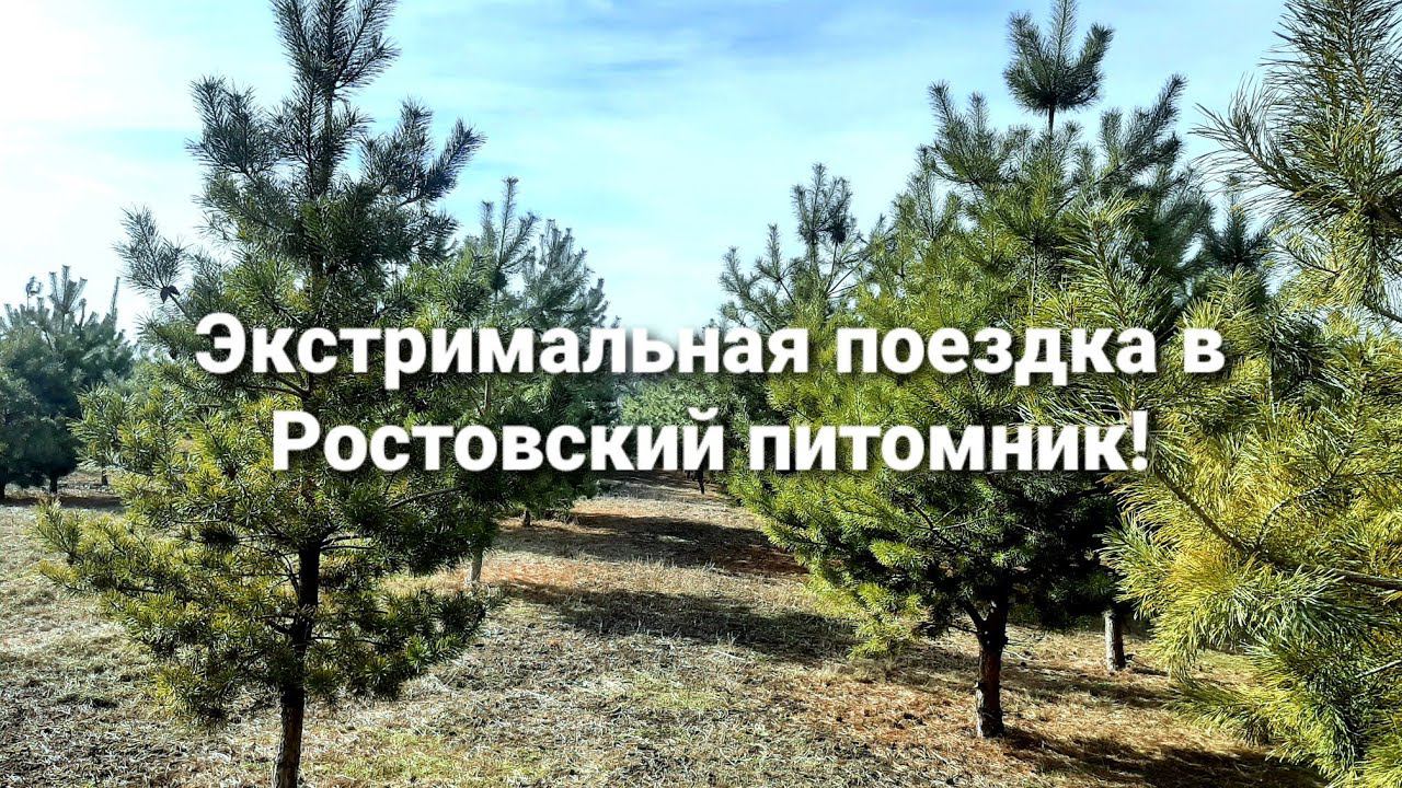 Экстримальная поездка в Ростовский питомник! смотреть онлайн