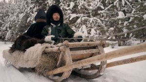 Дандар Бадлуев - Шаргын дуун