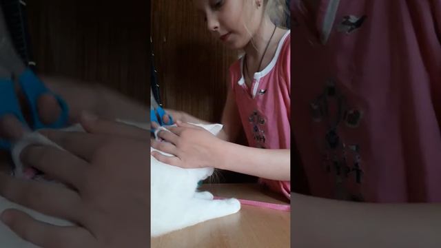 Как подстричь кота. Часть первая смотреть онлайн