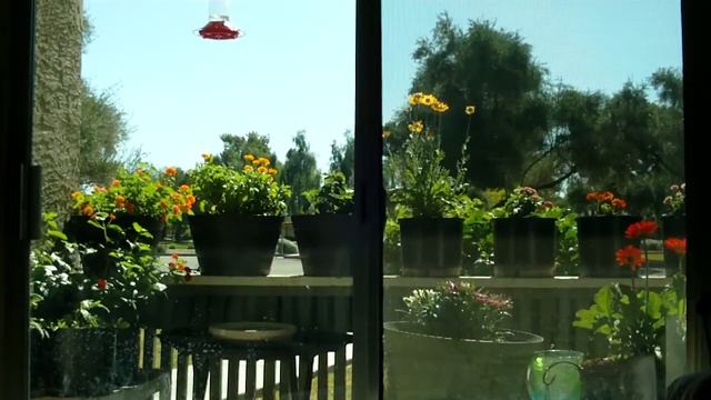 Sunday Morning View From My Window смотреть онлайн