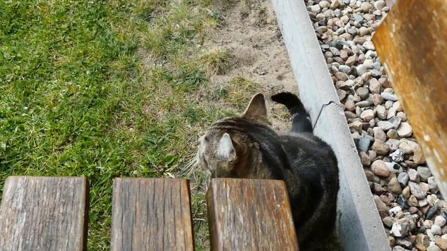 Ein Film von Moni Böger смотреть онлайн