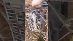 Замена вентилятора на кондиционере Самсунг