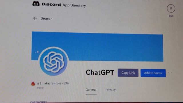 How to add chatGPT In your discord server! смотреть онлайн