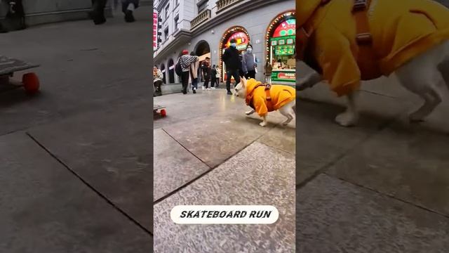 Настоящий скейтер смотреть онлайн