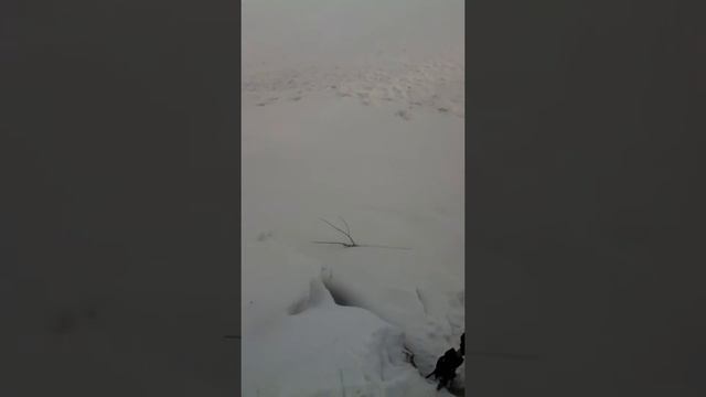 на тарзанке от первого лица смотреть онлайн