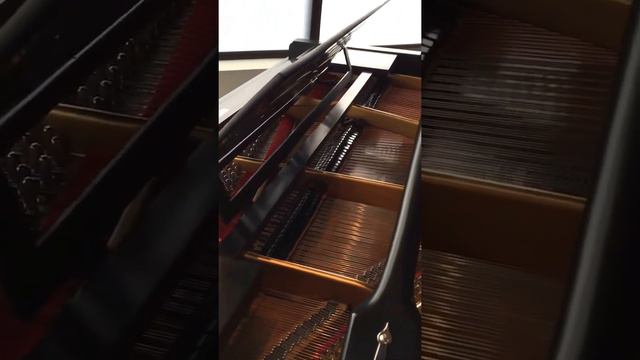 Thurmer Grand Piano, PianoDisc HD Demo смотреть онлайн