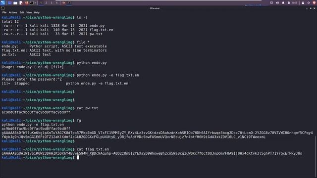 PicoCTF "Python Wrangling" Walkthrough - Run Your First Python Program! смотреть онлайн