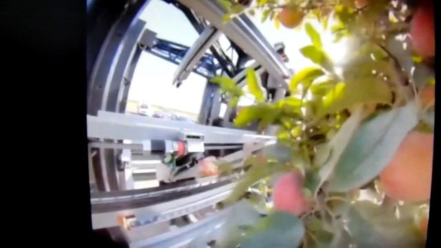 Сады друзей Железова — примеры нового садоводства. Серия №2. смотреть онлайн