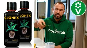 ВЫСОКАЯ ПРИЖИВАЕМОСТЬ РАССАДЫ: готовим укоренитель своими руками