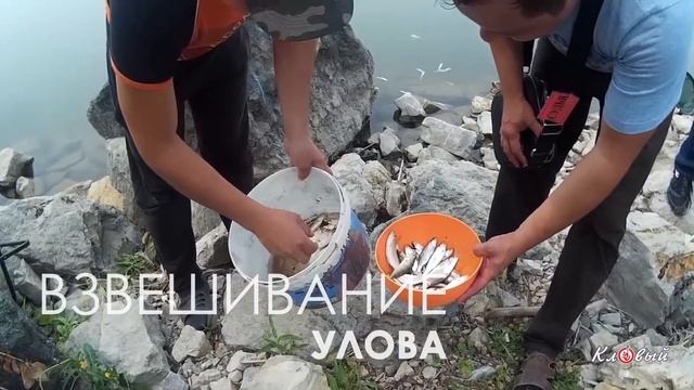 Соревнования по рыбной ловле Сибай 2016г. смотреть онлайн