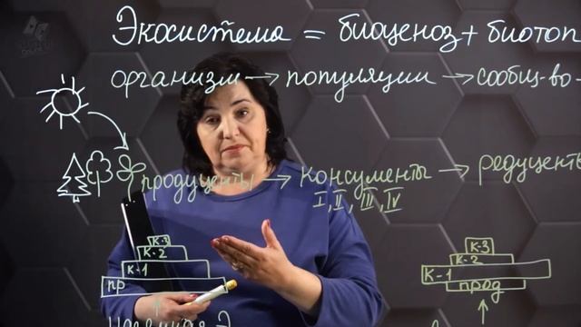 Компоненты экосистемы. Водные и наземные экосистемы. 8 класс. смотреть онлайн