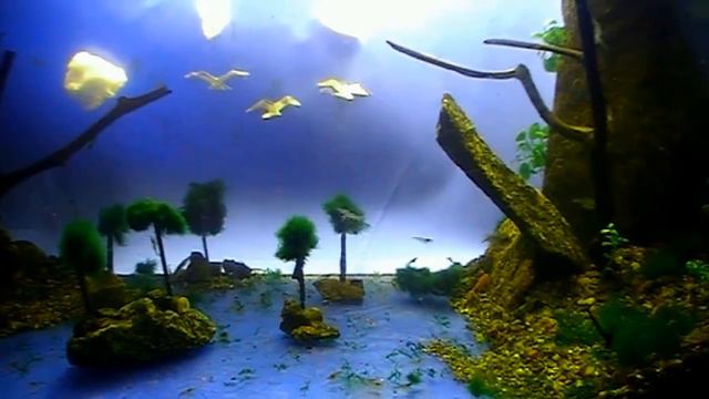 #Aquarium. Морской залив - лагуна. My archive. смотреть онлайн