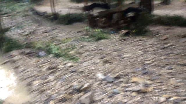 Назарова дача, потоп 17 июля 2018г. смотреть онлайн