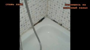 ★ Оригинальный способ очистить КРАН ОТ НАЛЕТА. Легкая уборка в ванной.