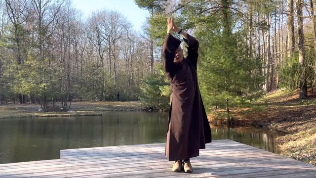 HEAL BACK, SPINE - IMPROVE FLEXIBILITY | Qigong The DRAGON ( 5 Minutes )