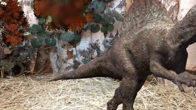 Парк динозавров и шиншиллы.. смотреть онлайн