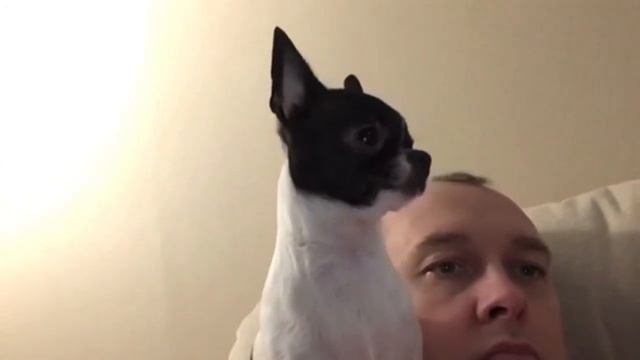 Шанчес смотреть онлайн
