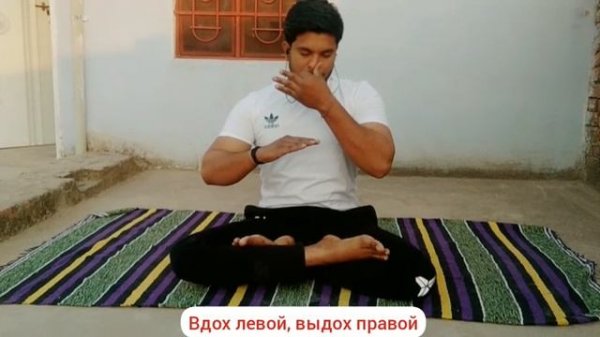 Пранаяма Анулома Вилома! Практика дыхания утром! Йога для начинающих - Индия! Pranayama viloma!