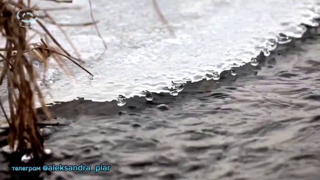 Околдую тебя смотреть онлайн