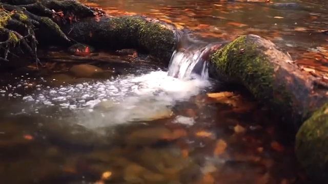 "Tranquil Waters" "Breath of Peace" for meditation смотреть онлайн