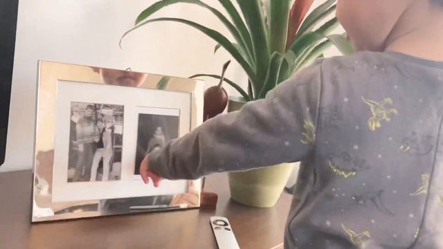 Разбираем снимки) А тут кто у нас? смотреть онлайн