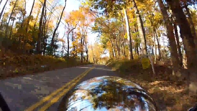 Leaf Peeping 1 смотреть онлайн