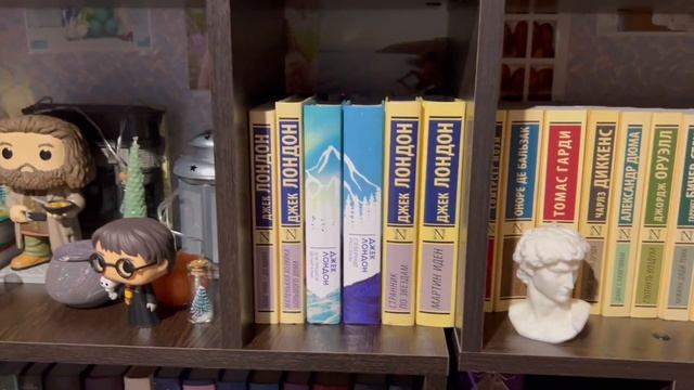 Новый стеллаж + мини-обзор на книжные полки? смотреть онлайн