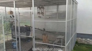 Вольер для птиц своими руками. Размер 2,2 х 2,5 х 4 м.