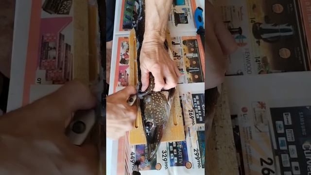 Снимаем филе с щуки. Быстро и просто.